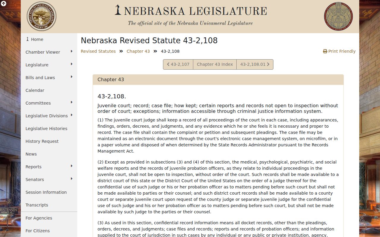 Dodge County criminal court dockets juvenile file confidentiality statute